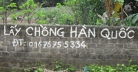 Đi tìm nguyên nhân việc lấy chồng Hàn Quốc