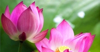 Nam Bộ và nghiên cứu KHXH&amp;NV NB
